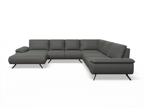 CanSE Large L